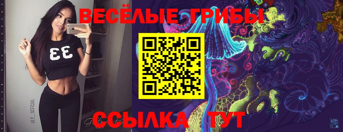 Псилоцибиновые грибы Psilocybine cubensis Псков